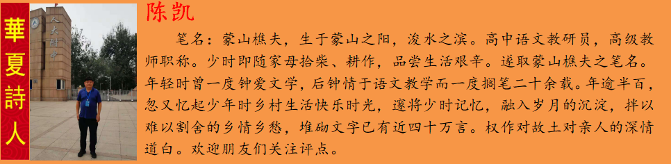 陈凯.png