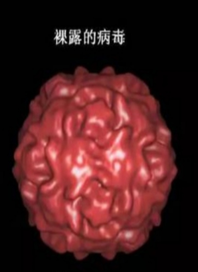 1582468128060039447.jpg 寰俊鍥剧墖_20200223222910.jpg
