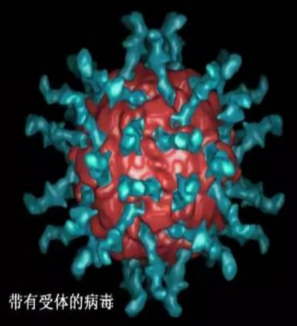 1582468146785010025.jpg 寰俊鍥剧墖_20200223222926.jpg