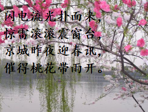 桃花.png
