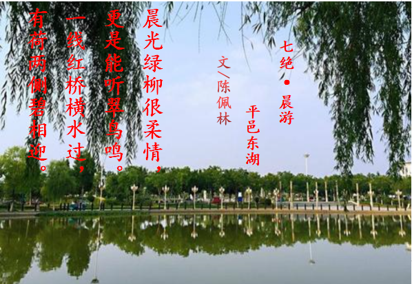 1582869914331023559.png