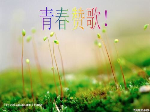 10315320-2279-4211-BFF4-A5D3F10ED6B6.