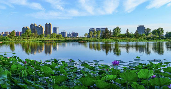 辽河景色.jpg