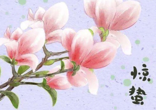 924B10F3-FDCE-44FA-A5C3-D637524A1B3E.