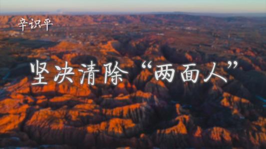 1583548741778042570.jpg 两面äº?01.jpg