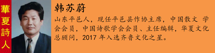 韩苏è?.png
