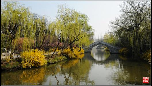 烟花三月.jpg