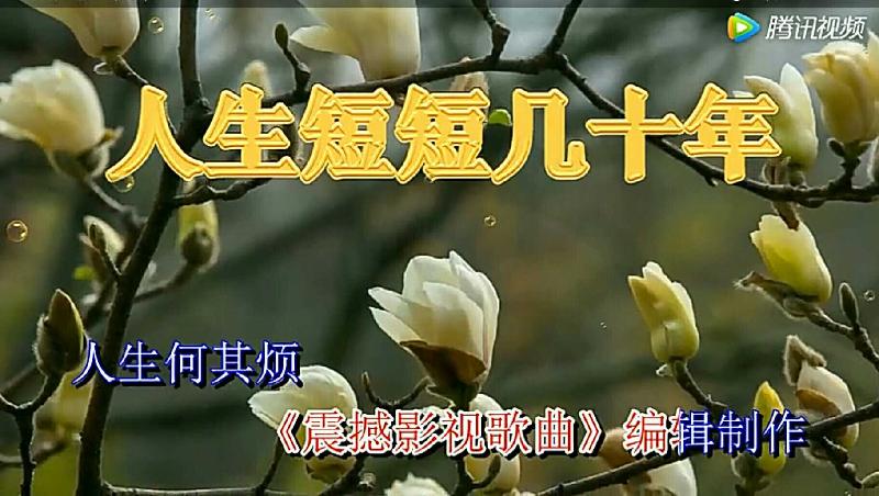 S00313-143641(1)_comps.