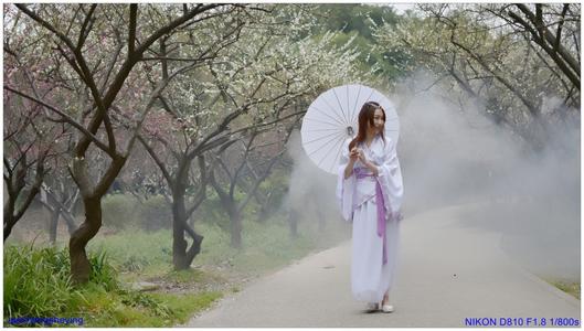 梅花三弄03.jpg