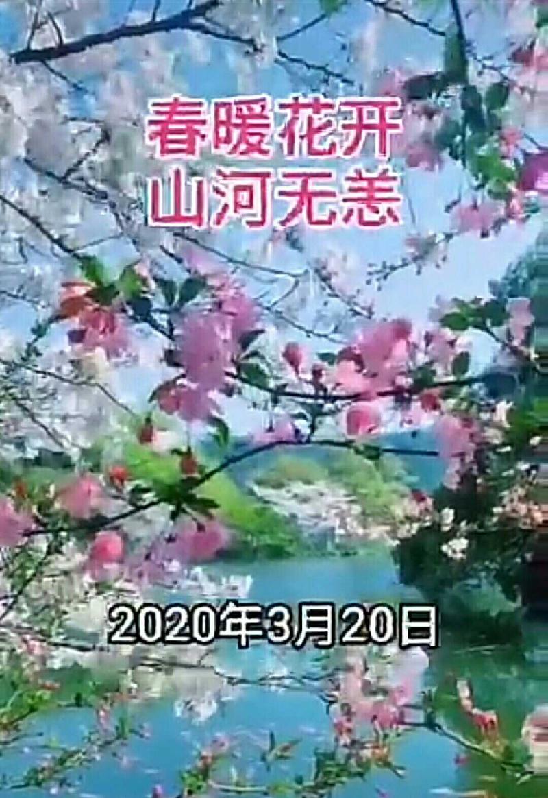 S00322-184243(1)_comps.