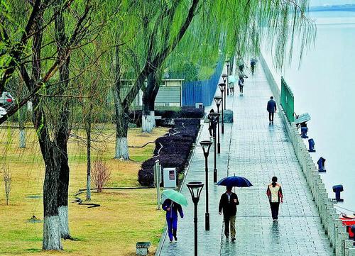 好雨知时è?.jpg