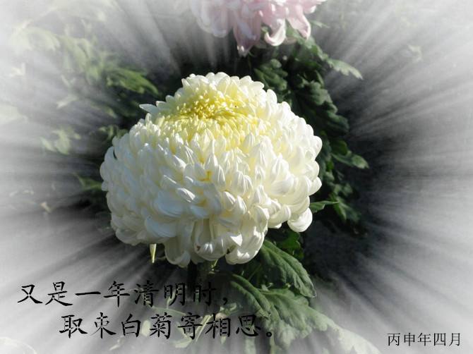 timg-1585915403205.