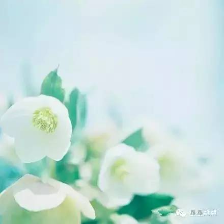 9014a48853f6493c9ed23dc6d92ff1a9.