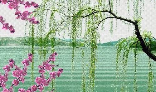 《中国爱情诗刊》【世界女子爱情诗社联盟】(第4期)(图11)