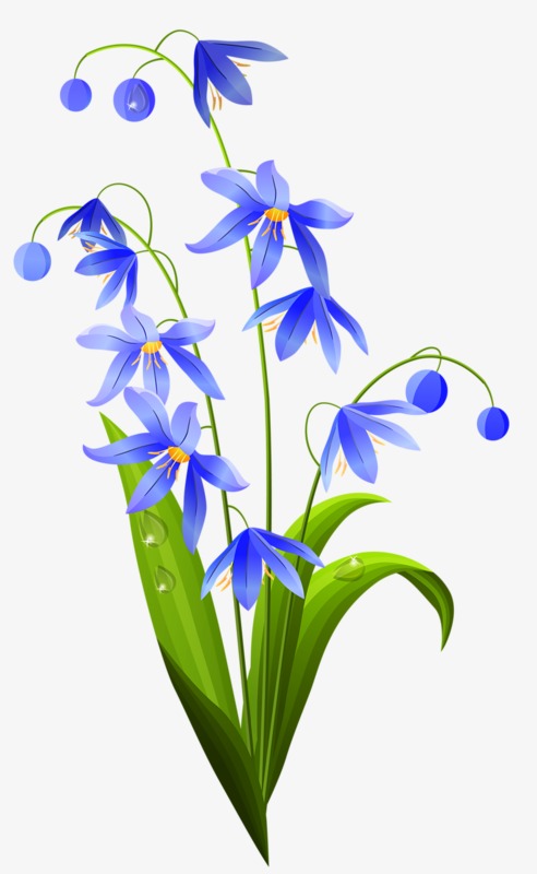 七绝 玉兰花三首 文/李彦栋