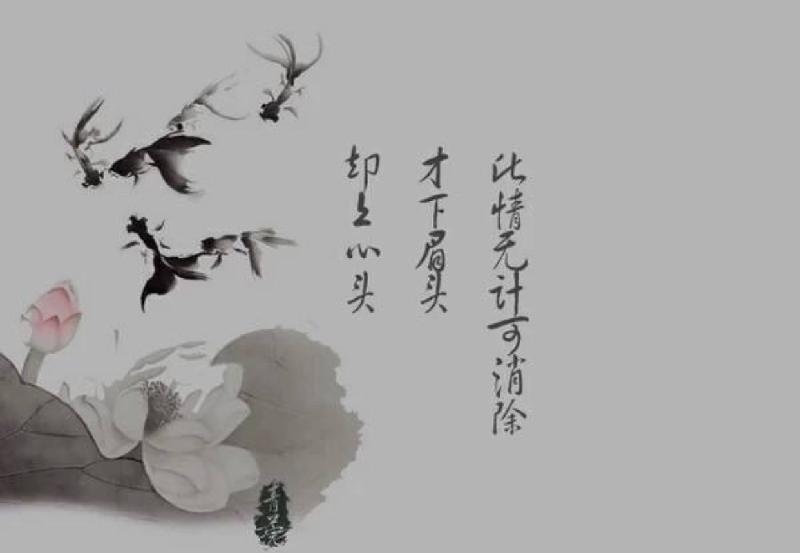 《中国爱情诗刊》【中国爱情诗歌】(第878期)四川组稿工作站选送(组稿:白雪莲儿)(图8)
