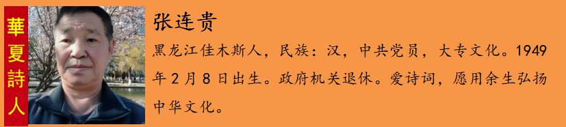 张连è´?.png
