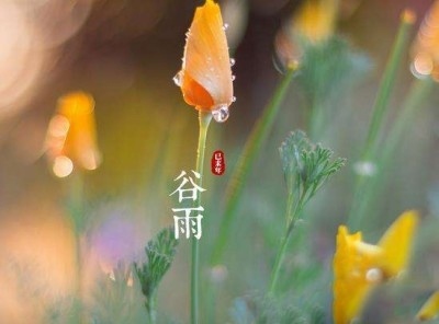 IMG_20200418_155945.
