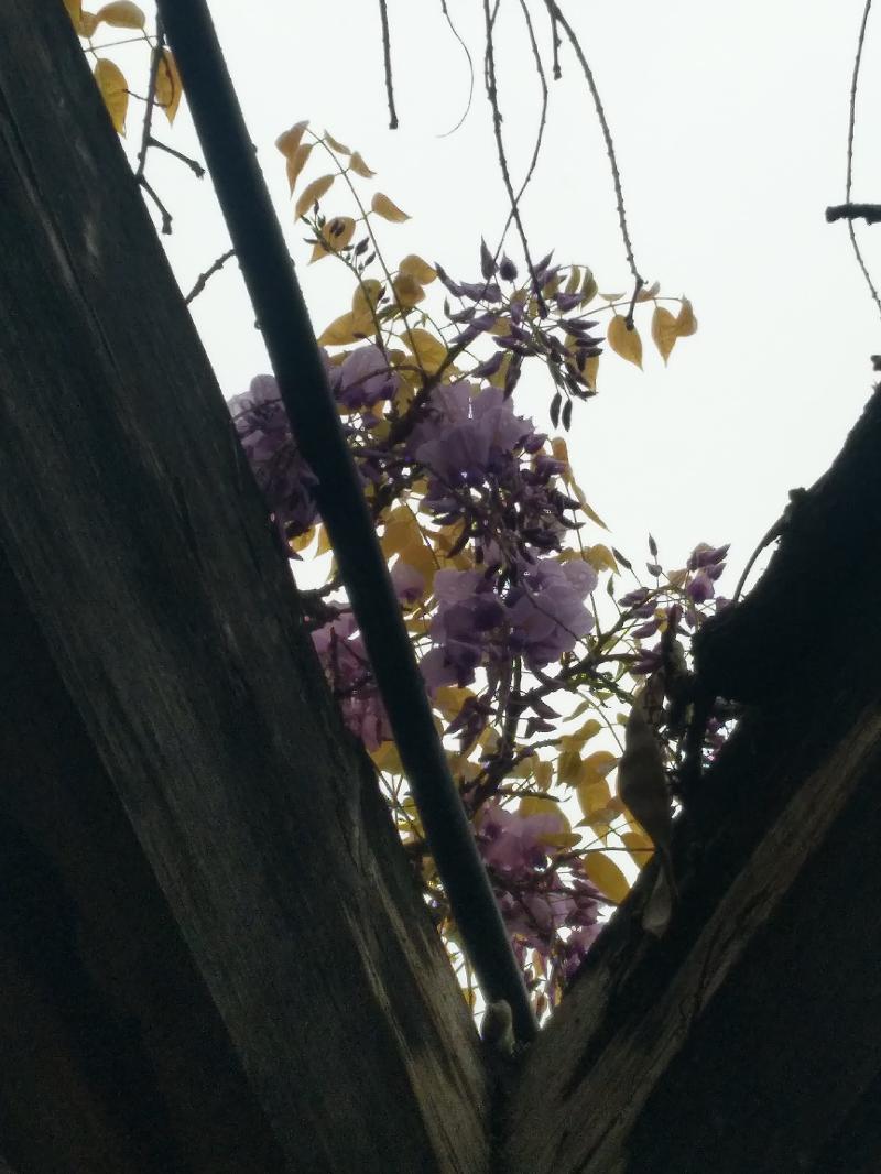 IMG_20200419_083428.