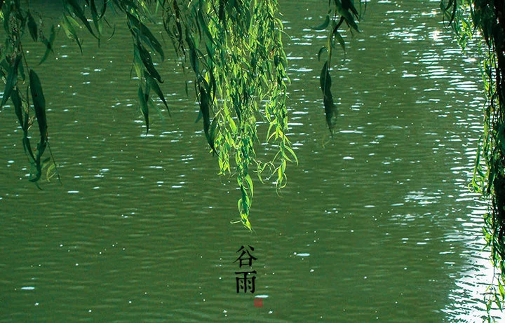 谷雨寄情