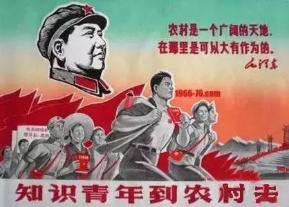 七绝  知青情缘 文/李尚春