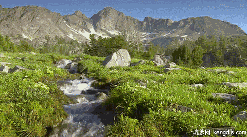 1587979134548072832.gif 640.gif