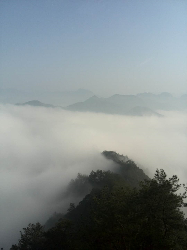 寰俊鍥剧墖_20200504063046_鍓湰.jpg