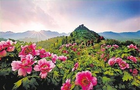 寰俊鍥剧墖_20200514224823.jpg