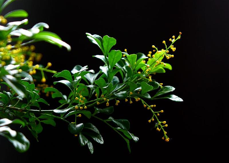 32DBE01C-5B1B-47E2-BF4C-07807A21DCD5.