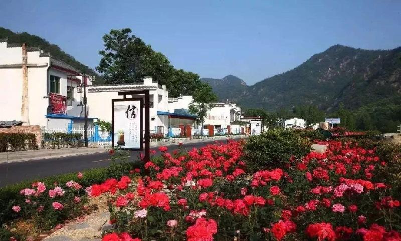 79E3E8F6-7000-4A88-B84B-85DC56035185.