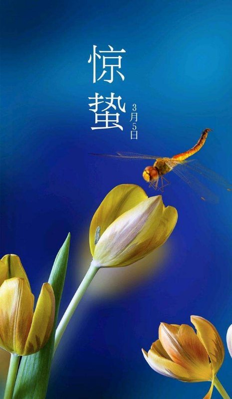 7962EE60-C1DF-4550-AB7C-9D60CCFF293B.