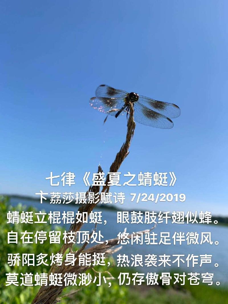 EEFD10A2-3640-40E1-88EA-522A475E4EA7.