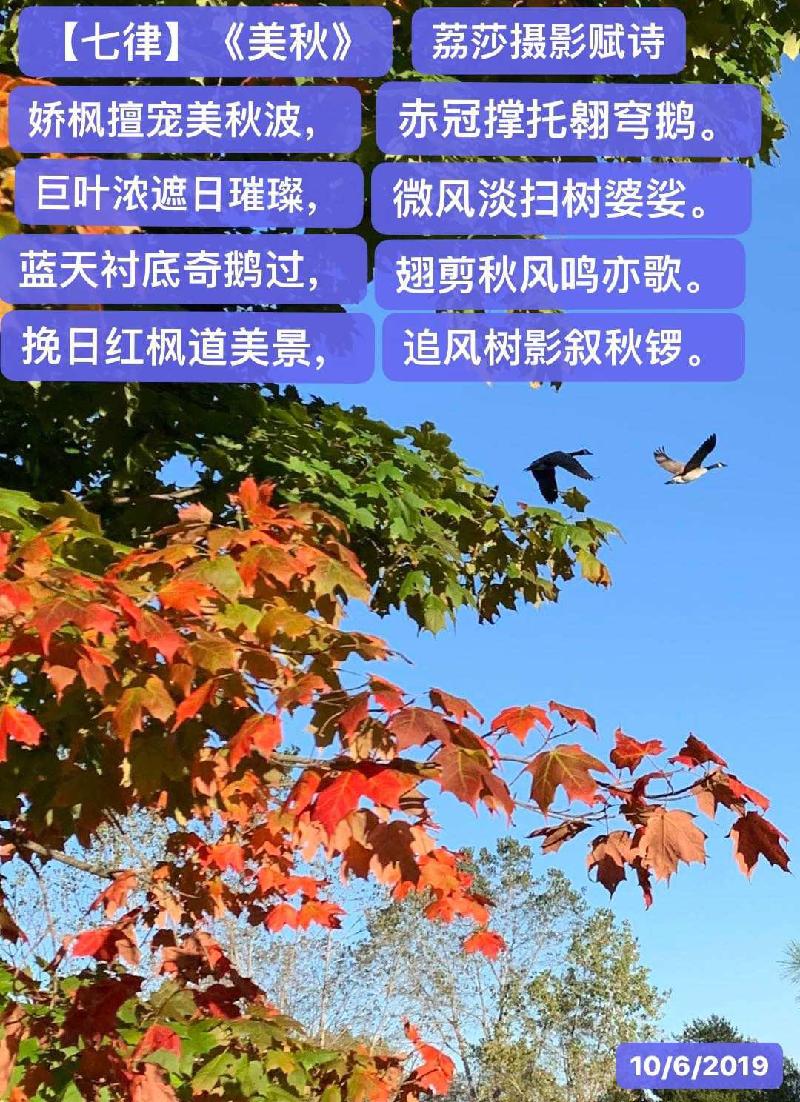 3AB54050-B237-454D-AF26-AB512B624532.