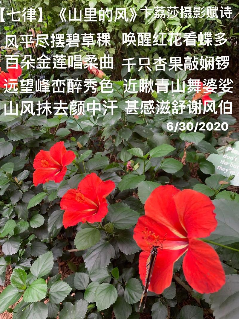 95F3EA5D-552A-4842-A363-97A38807E927.