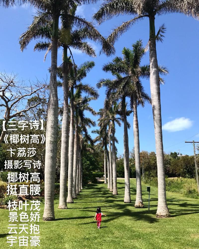 93F6608F-2753-42F1-8EC8-A2252292571E.