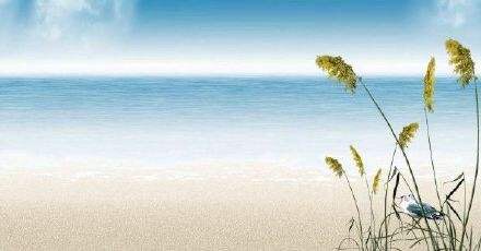 3B346878-D317-4E62-AEA9-8D3B77F1344F.