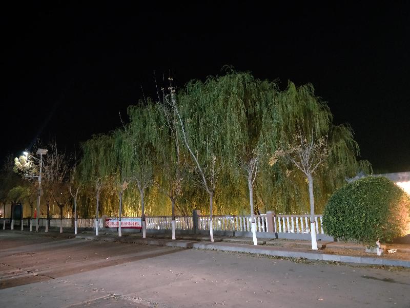 IMG20201111201013.