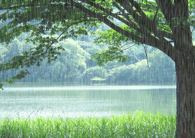 薄荷诗苑经典美文昆明的雨文汪曾祺诵石玮杭