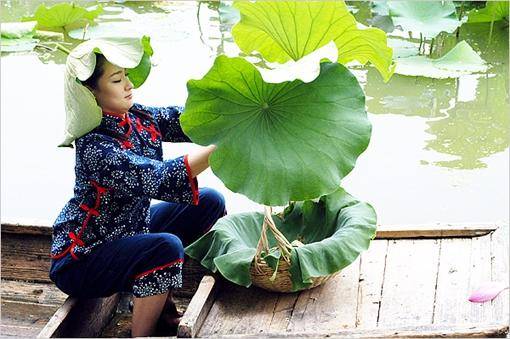 荷花淀妇女的形象图片