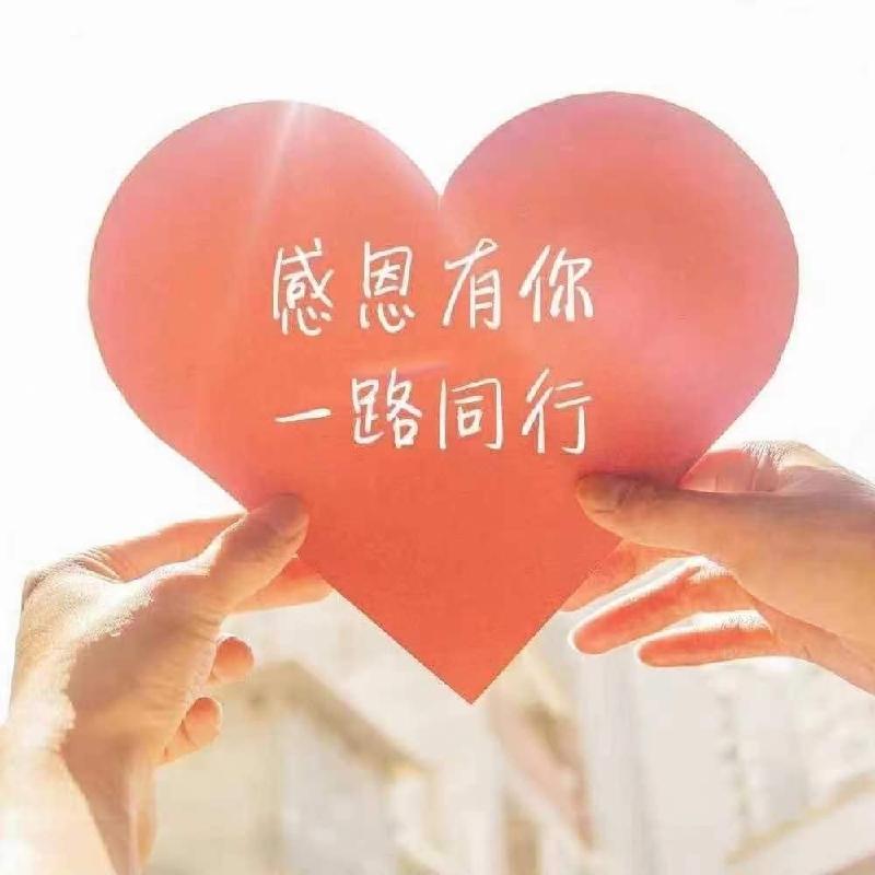 感恩遇见-京津沪头条 蔡雨芳华（图3）