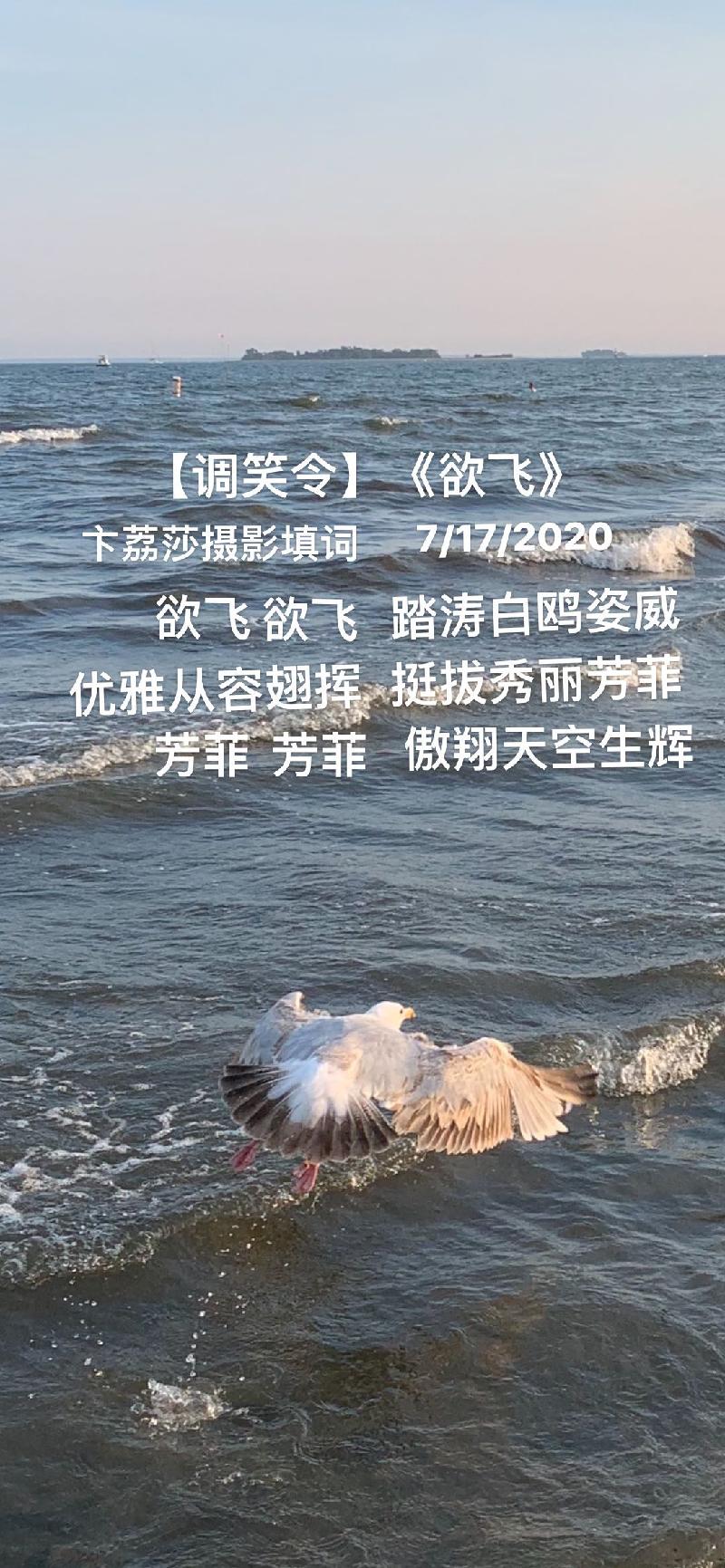 1C2647A3-E0BE-4E2C-840A-5231E9261D49.
