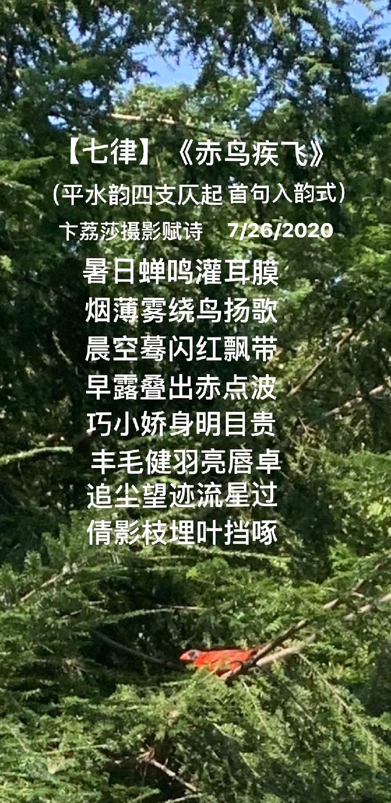 95EBFD56-9E44-4475-ABF9-DD1576B970A0.