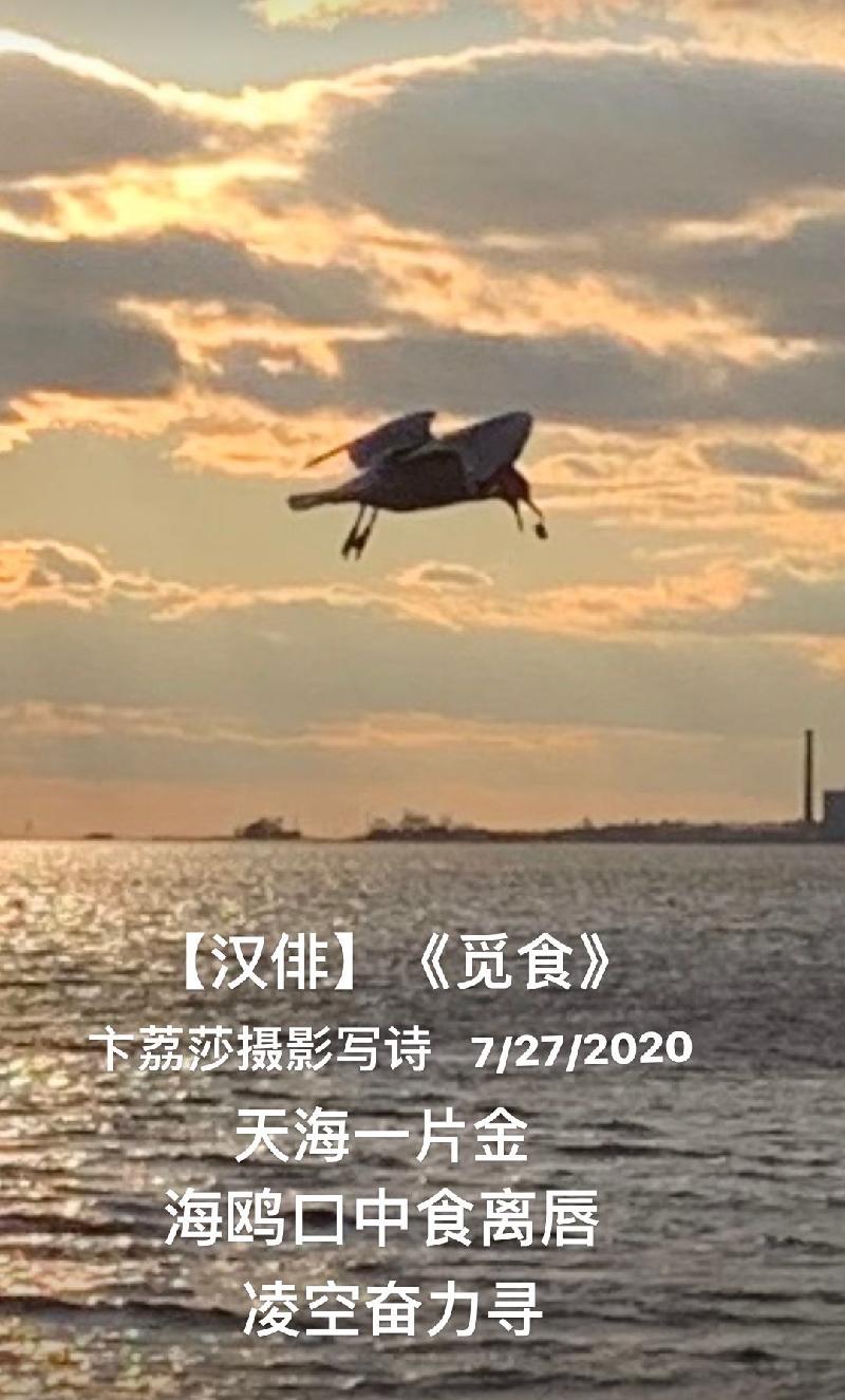 B2879E66-0423-4DDC-8F79-949AA47B86F4.