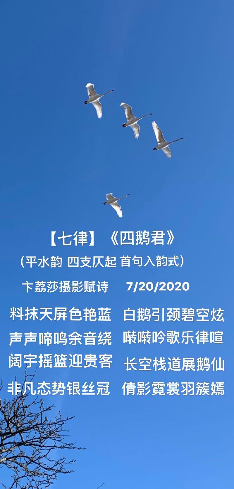 C5A938C6-1D4C-4533-BA2C-5C2B62FD2179.