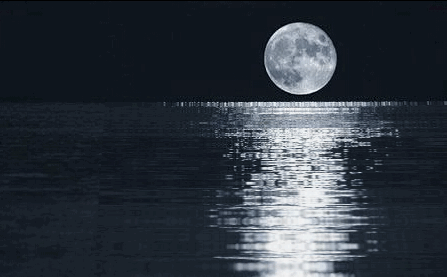 【当代文艺】《西江月十四部韵》作者:毛厚博