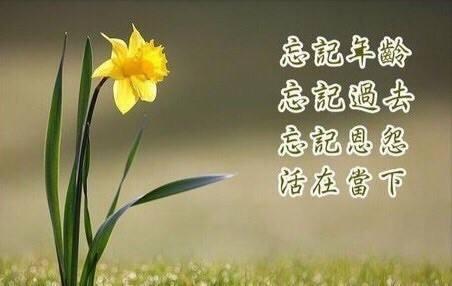 954613CB-2E38-47ED-9422-20C5762D92C8.