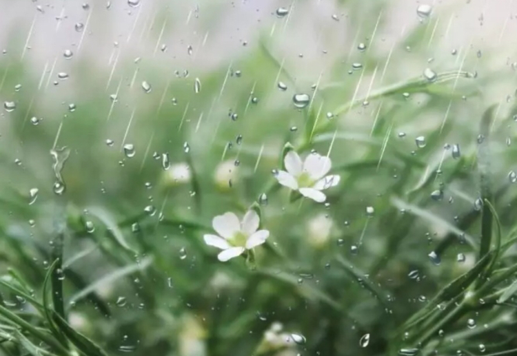 【新诗大观】雨夜思绪||文／美宸/惊鸿照影（图6）