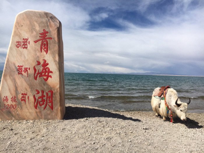 千年不息 万年不止 (外一首)文/陈文梅/青海