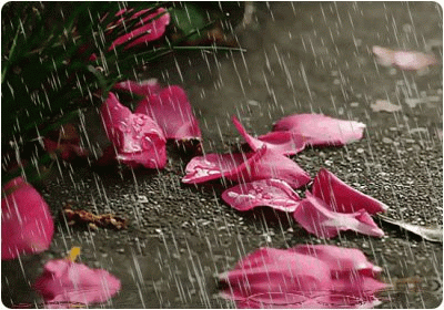 1596879941546025885.gif a795ae6916a07644b6f9088d9dc66561.gif