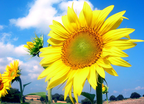 20120708224249_N8auS.